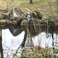 『モンハンライズ』ヨツミワドウの