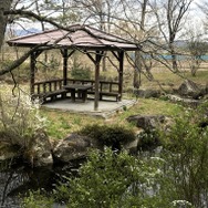 『モンハンライズ』ヨツミワドウの