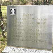 『モンハンライズ』ヨツミワドウの