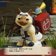 『モンハンライズ』これでカムラの里マスター!?勲章「歩き疲れない下駄」入手への道&カムラの里人物名鑑