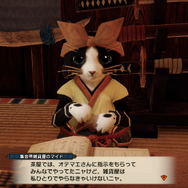 『モンハンライズ』これでカムラの里マスター!?勲章「歩き疲れない下駄」入手への道&カムラの里人物名鑑