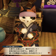 『モンハンライズ』これでカムラの里マスター!?勲章「歩き疲れない下駄」入手への道&カムラの里人物名鑑
