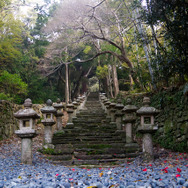 【Travel of Tsushima】聖地巡礼したい境井仁向けリアル対馬旅行ガイド 第二回―リアル対馬でもっとも『Ghost of Tsushima』なのはどこ?5段階評価で「ぽさ」を評価