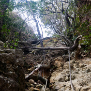 【Travel of Tsushima】聖地巡礼したい境井仁向けリアル対馬旅行ガイド 第二回―リアル対馬でもっとも『Ghost of Tsushima』なのはどこ?5段階評価で「ぽさ」を評価