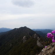 【Travel of Tsushima】聖地巡礼したい境井仁向けリアル対馬旅行ガイド 第二回―リアル対馬でもっとも『Ghost of Tsushima』なのはどこ?5段階評価で「ぽさ」を評価