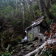 【Travel of Tsushima】聖地巡礼したい境井仁向けリアル対馬旅行ガイド 第二回―リアル対馬でもっとも『Ghost of Tsushima』なのはどこ?5段階評価で「ぽさ」を評価