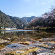【Travel of Tsushima】聖地巡礼したい境井仁向けリアル対馬旅行ガイド 第二回―リアル対馬でもっとも『Ghost of Tsushima』なのはどこ?5段階評価で「ぽさ」を評価