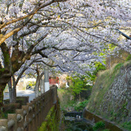 【Travel of Tsushima】聖地巡礼したい境井仁向けリアル対馬旅行ガイド 第二回―リアル対馬でもっとも『Ghost of Tsushima』なのはどこ?5段階評価で「ぽさ」を評価
