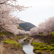 【Travel of Tsushima】聖地巡礼したい境井仁向けリアル対馬旅行ガイド 第二回―リアル対馬でもっとも『Ghost of Tsushima』なのはどこ?5段階評価で「ぽさ」を評価
