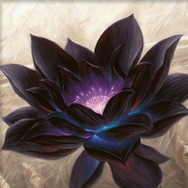 『マジック・ザ・ギャザリング』お値段3,000万円！最も価値ある1枚「ブラックロータス（α版）」がカードショップ・晴れる屋に入荷