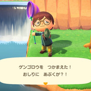 昆虫界のトップスイマー！『あつまれ どうぶつの森』で採れる「ゲンゴロウ」ってどんな虫？【平坂寛の『あつ森』博物誌】