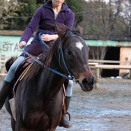 競馬から引退後は「第二の馬生」に