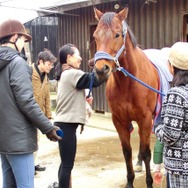 馬に対しても人に対しても、幸せを願う引退馬協会