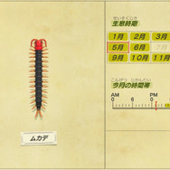 今、ムカデがアツい！『あつまれ どうぶつの森』に登場する「ムカデ」ってどんな虫？【平坂寛の『あつ森』博物誌】
