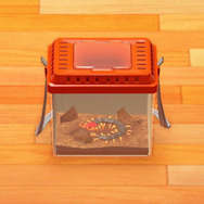 今、ムカデがアツい！『あつまれ どうぶつの森』に登場する「ムカデ」ってどんな虫？【平坂寛の『あつ森』博物誌】