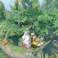 『モンハンライズ』狩りに役立つ小ネタ集―せっかちさんなら覚えておきたいテクニック等、アナタはどこまで知っている？