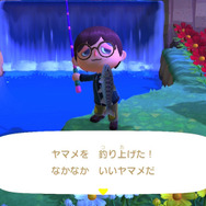 いじめられっ子は「変身」します！『あつまれ どうぶつの森』で釣れる「ヤマメ」の秘密とは【平坂寛の『あつ森』博物誌】