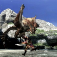 モンスターハンター3(トライ)