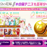 『五等分の花嫁∬』×『白猫テニス』コラボ(C)春場ねぎ・講談社/「五等分の花嫁∬」製作委員会(C)COLOPL, Inc.