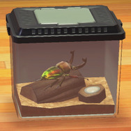 なぜ虹色！？『あつまれ どうぶつの森』で採れる「ニジイロクワガタ」ってどんな虫？【平坂寛の『あつ森』博物誌】