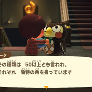 川に棲む虹色の…イワシ！？『あつまれ どうぶつの森』で釣れる「レインボーフィッシュ」ってどんな魚？【平坂寛の『あつ森』博物誌】