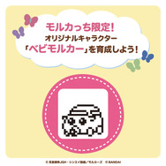 「PUI PUI モルカー」×「たまごっち」コラボ商品!アニメでおなじみのモルカーにも変化する「PUI PUI モルカっち」10月9日発売