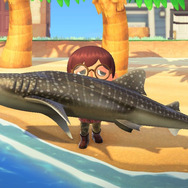 正体は○○ザメ！『あつまれ どうぶつの森』で釣れる「サメ」ってこんな魚【平坂寛の『あつ森』博物誌】