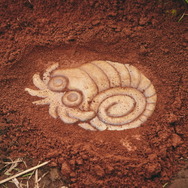 ポケモン求めてリアルな大自然を探索！「ポケモンワンダー」7月17日オープン、草木をかき分ける新たなネイチャーアドベンチャー