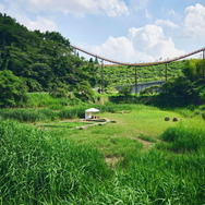 ポケモン求めてリアルな大自然を探索！「ポケモンワンダー」7月17日オープン、草木をかき分ける新たなネイチャーアドベンチャー