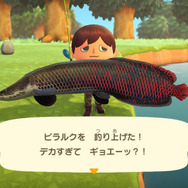 デカすぎてギョエーッ！『あつまれ どうぶつの森』で釣れる「ピラルク」ってどんな魚？【平坂寛の『あつ森』博物誌】