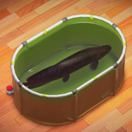 デカすぎてギョエーッ！『あつまれ どうぶつの森』で釣れる「ピラルク」ってどんな魚？【平坂寛の『あつ森』博物誌】