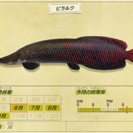 デカすぎてギョエーッ！『あつまれ どうぶつの森』で釣れる「ピラルク」ってどんな魚？【平坂寛の『あつ森』博物誌】