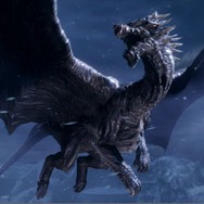 『モンハンライズ』「あなたのハンターランクはどれくらい？」結果発表ー半端無いやり込みの声が続々と