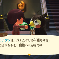 意外と謎だらけ!?『あつまれ どうぶつの森』に登場する「カナブン」ってどんな虫？