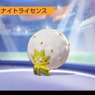 強い人は知っている!『ポケモンユナイト』勝利を掴む10のポイントーオプションにも重要な設定が
