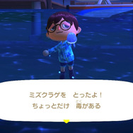 有毒？無毒？どっちなんだい！『あつまれ どうぶつの森』に登場するミズクラゲって何者？【平坂寛の『あつ森』博物誌】