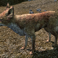 『スカイリム』“宝の山に導くキツネ”の都市伝説に元開発者が言及―ランダム性から偶然生まれた美しいデザイン