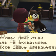 世界最大級の蛾は日本にいる！『あつまれ どうぶつの森』に登場する「ヨナグニサン」ってどんな虫？【平坂寛の『あつ森』博物誌】
