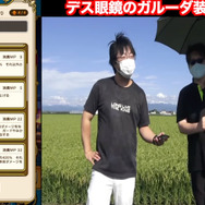 今までの常識を過去にする「ガルーダウイング」性能評価!2周年直前に現れたトンデモ武器【ドラクエウォーク 秋田局】