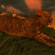 『Ghost of Tsushima Director's Cut』