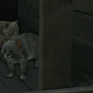 『Ghost of Tsushima Director's Cut』