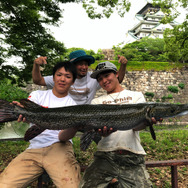 日本にも生息！？『あつまれ どうぶつの森』で釣れる「ガー」ってどんな魚？【平坂寛の『あつ森』博物誌】