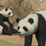 Animal Life～動物ふれあい生活～