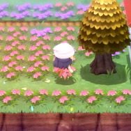 『ポケモン ダイパリメイク』ひでんわざは「ポケッチ」が担当！最新映像で「ポフィン」や「ナタネ」などを紹介