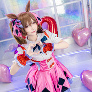 『ウマ娘 プリティーダービー』スマートファルコン／箱ネコ