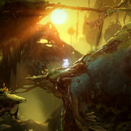 鮮やかな画面が特徴の有機EL版スイッチを120％楽しむために！グラフィックが綺麗なオススメソフト5選