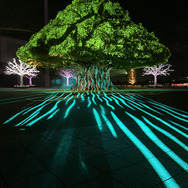 光と遊ぶ大樹（メガツリー）／画像提供：東京メガイルミ