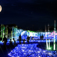 白糸乃滝 湧水柿田川エリア／画像提供：東京メガイルミ