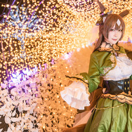 『ウマ娘 プリティーダービー』サトノダイヤモンド／箱ネコ