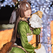 『ウマ娘 プリティーダービー』サトノダイヤモンド／箱ネコ